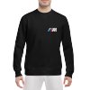 BMW monochrome M logo
